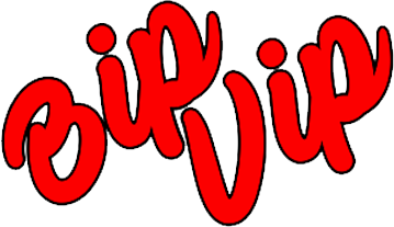 vnbipvip.com Logo